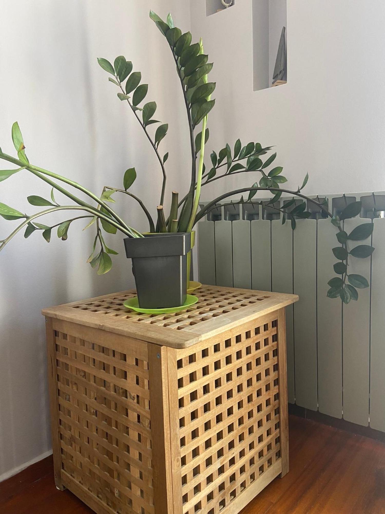 Brand New Brilliant Apartment At Athenian Riviera 外观 照片